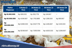 Bunga dan Biaya Provisi KSM Mandiri 2026 Palfon Rp 100 Juta