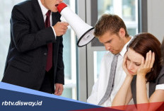 Tertarik Jadi DC Lapangan Shopee? Ini Skill dan Kemampuan yang Harus Dikuasai