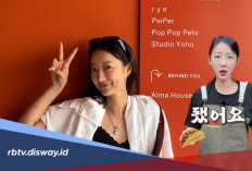 Sepi Job di Dunia Hiburan, Hyelin EXID Sukses Bisnis Restoran Taco