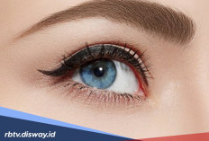 8 Makanan Alami yang Bisa Menjaga Mata Tetap Sehat dan Segar