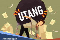 Daftar Wilayah Operasi DC Lapangan AkuLaku 2026 dari Jawa hingga Papua