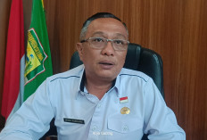 Pemkab Seluma Tanam 7 Pohon Gaharu yang Media Tanamnya Bersumber dari 202 Desa/Kelurahan, Ini Maknanya