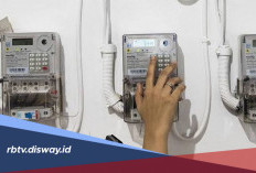 Berlaku September 2026, Berikut Rincian Tarif Listrik Per kWh untuk Seluruh Golongan