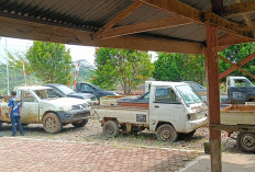 Besok, Pemkab Seluma Umumkan Lelang Mobnas Pick Up Bekas Pemakaian Kades 