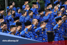 Sama-sama ASN, Apa Bedanya PPPK Paruh Waktu dan PPPK Penuh Waktu?