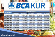 Tabel KUR BCA 2026, Angsuran Bisa Dipilih Sesuai Tenor yang Diinginkan