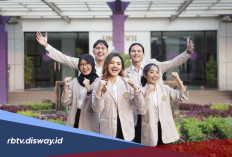Peluang Karir dan 6 Prospek Kerja Lulusan Jurusan Teknologi Informasi