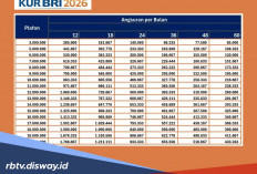 Berapa Angsuran Bulanan KUR BRI jika Pinjam Rp 90 Juta, Begini Cara Cek SLIK OJK