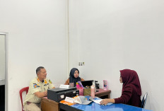Penuhi Panggilan Satpol PP, Ini Sanksi untuk Pelaku Penebangan Pohon di Pantai Panjang