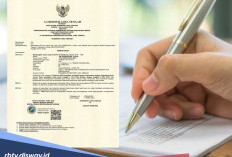 Gadai SK PPPK di BRI, Mandiri, BSI dan BRI? Begini Tahapan yang Harus Dilewati