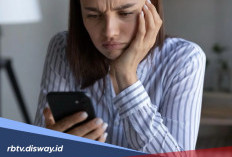 Curiga dan Penasaran Aktivitas Pasangan  di WhatsApp? Kenali Fitur Ini Tanpa Perlu Menyadap