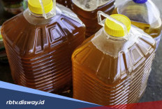 Cara Membersihkan Minyak Jelantah agar Lebih Bening dan Bisa Dipakai Kembali