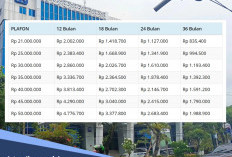Tabel Kupedes BRI Rp 25 Juta, Ini Ketentuan Usia Calon Debitur, Wajib Dipenuhi
