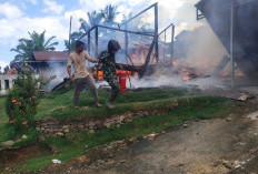 Si Jago Merah Hanguskan Dua Rumah di Mukomuko, Kerugian Ratusan Juta