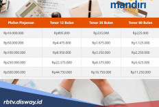 Tabel KUR Bank Mandiri Pinjaman Rp 65 Juta, Daftar Sektor Usaha Diprioritaskan Sebagai Penerima 
