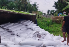 Truk Fuso Muatan 20 Ton Kedelai Terguling di Cahaya Negeri