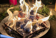 Ayat Al-Qur'an Penangkal Santet dan Sihir, Amalkan 3 Surah Ini