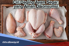 Ciri Daging Ayam Segar yang Aman Dikonsumsi