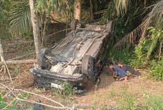 Niat Antar Keluarga Berobat, Toyota Agya Terbalik Usai Tabrak Tiang di Seluma Barat