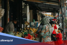 Sudah Tahu Belum, Ini Daftar Lapangan Usaha yang Akan Didata Dalam Sensus Ekonomi