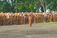 Data PPATK: Dari Kepala Dinas hingga PPPK Paruh Waktu di Pemkab Seluma Terdeteksi Main Judi Online