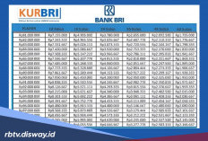 Emang Bisa Pinjam Modal Usaha Lewat KUR BRI 25 Juta Tanpa ke Bank