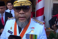 Melalui SE, Gubernur Helmi Perintahkan Bupati hingga Kades Awasi Potensi Karhutla 