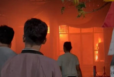 Kantor Lurah Sumur Meleleh Kota Bengkulu Hangus Terbakar, Wali Kota Langsung Turun ke Lokasi