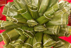 Protein Terbaik Bagi Tubuh Manusia yang Cuma Ada di Indonesia, Harganya Murah