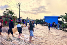 Ini Wilayah di Rejang Lebong yang Mengalami Banjir dan Tanah Longsor