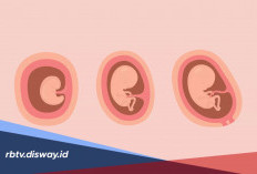 Macam-macam Perubahan yang Dirasakan Wanita Hamil Pada Trimester Satu 