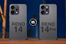 Oppo Reno 14 Pro vs Oppo Reno 14 5G, Intip Perbandingannya   
