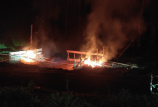 Polres Rejang Lebong Bakar Arena Judi Sabung Ayam di Talang Rimbo Lama