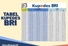 Kriteria Debitur Kupedes BRI 2026, Pengajuan Pinjaman Langsung ACC
