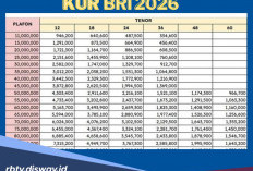 Info Resmi Tabel KUR BRI Rp 45 Juta Tidak Harus Ada NIB