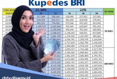 Tabel Kupedes BRI 2026 Pinjaman Rp 55 Juta, Bagaimana jika Pengajuan di Tolak?