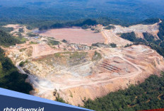 Indonesia Punya 5 Tambang Emas Terbesar, Berikut Fakta yang Banyak Belum Diketahui Masyarakat