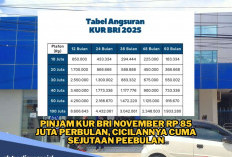 UMKM Wajib Cek Tabel Angsuran Pinjaman Rp85 Juta di KUR BRI November 2025, Tanpa Agunan