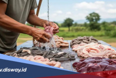 Ibu-ibu Harus Tahu, Ini 5 Cara Jitu Membersihkan Jeroan Agar Tidak Bau