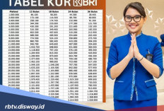 Tabel KUR BRI Pinjaman Rp 1 Juta-Rp 50 Juta, Ini Tips Pinjaman Segera Disetujui