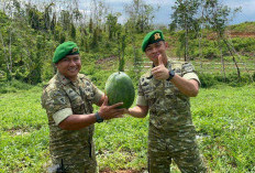 Program Ketahanan Pangan Yonif TP 847/VS, Panen 5 Ton Semangka