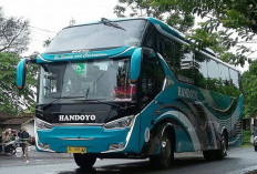 Lebaran 2026 Semakin Dekat, Cek Daftar Harga Tiket Bus Handoyo dan Rutenya