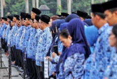 Banyak Pelamar Bingung, Ini Detail Kualifikasi Pendidikan PPPK Kemenham 2026