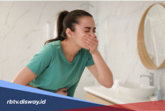 Kenali Fase Kritis Demam Berdarah, Jangan Terkecoh Saat Demam Turun