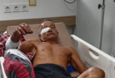 Lansia di Taba Penanjung Bengkulu Tengah Diserang Beruang 