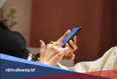 Peluang Cuan, Aplikasi Ini Hasilkan Saldo DANA Gratis dari HP