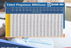Simulasi Pinjaman Briguna Karya 2026 Rp 100 Juta, Berikut Syarat agar Pengajuan Disetujui