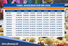 Update Syarat KUR BRI 2026 untuk Pinjaman Rp 100 Juta, Cek Penjelasannya Berikut 