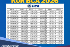 Ternyata Begini Ciri-ciri Pengajuan KUR BCA Anda akan Disetujui