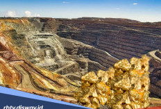 Izin Operasi Hingga Tahun 2041, Jumlah Emas yang Dikeruk 6 Perusahaan Tambang Terbesar di Indonesia